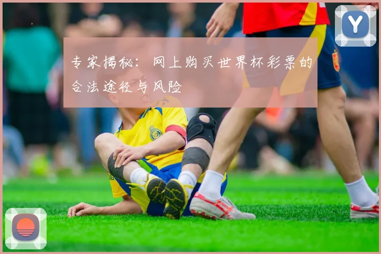 专家揭秘：网上购买世界杯彩票的合法途径与风险