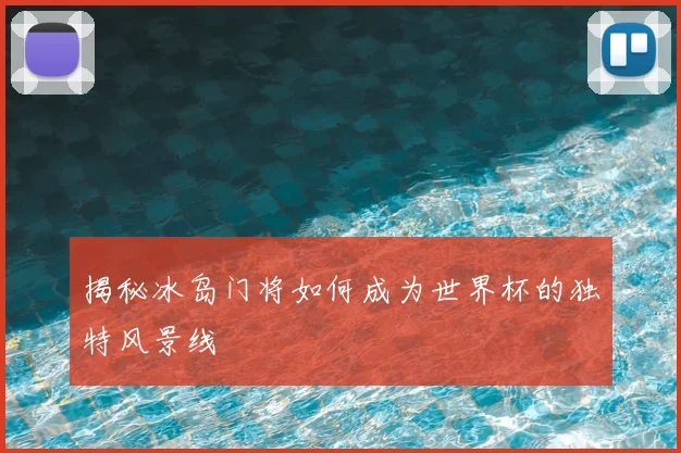 揭秘冰岛门将如何成为世界杯的独特风景线
