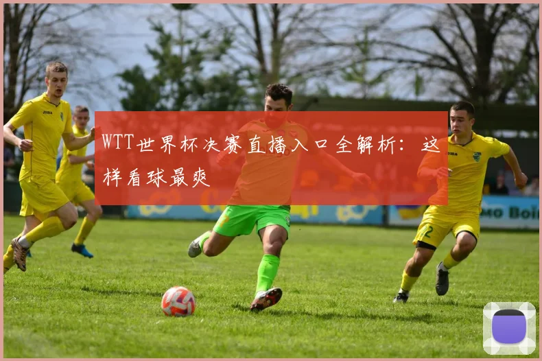 WTT世界杯决赛直播入口全解析：这样看球最爽