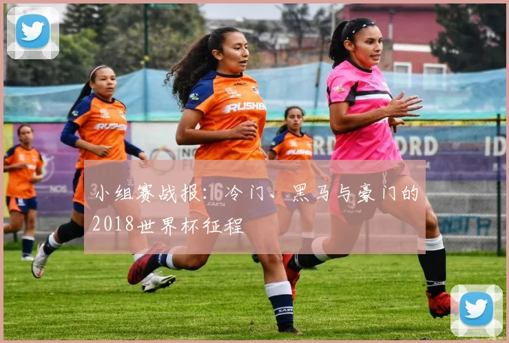 小组赛战报：冷门、黑马与豪门的2018世界杯征程